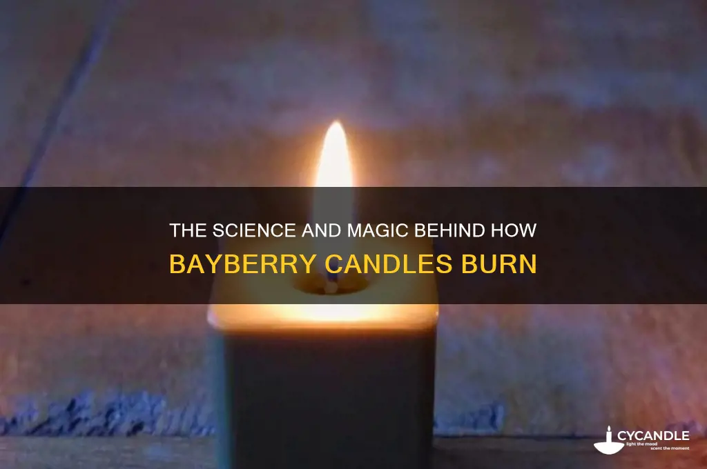 how the bayberry candles burn
