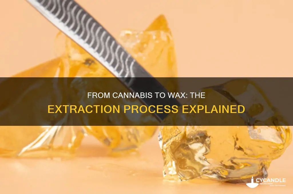 how they make wax out of marjuana plants