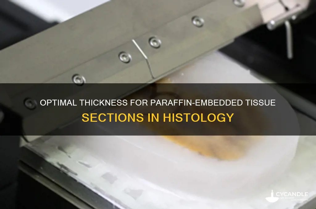 how thick are paraffin embedded sections that are cut
