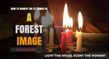 Create Enchanting Forest Photos with a Lit Candle