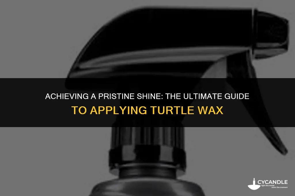 how to apply turtle wax