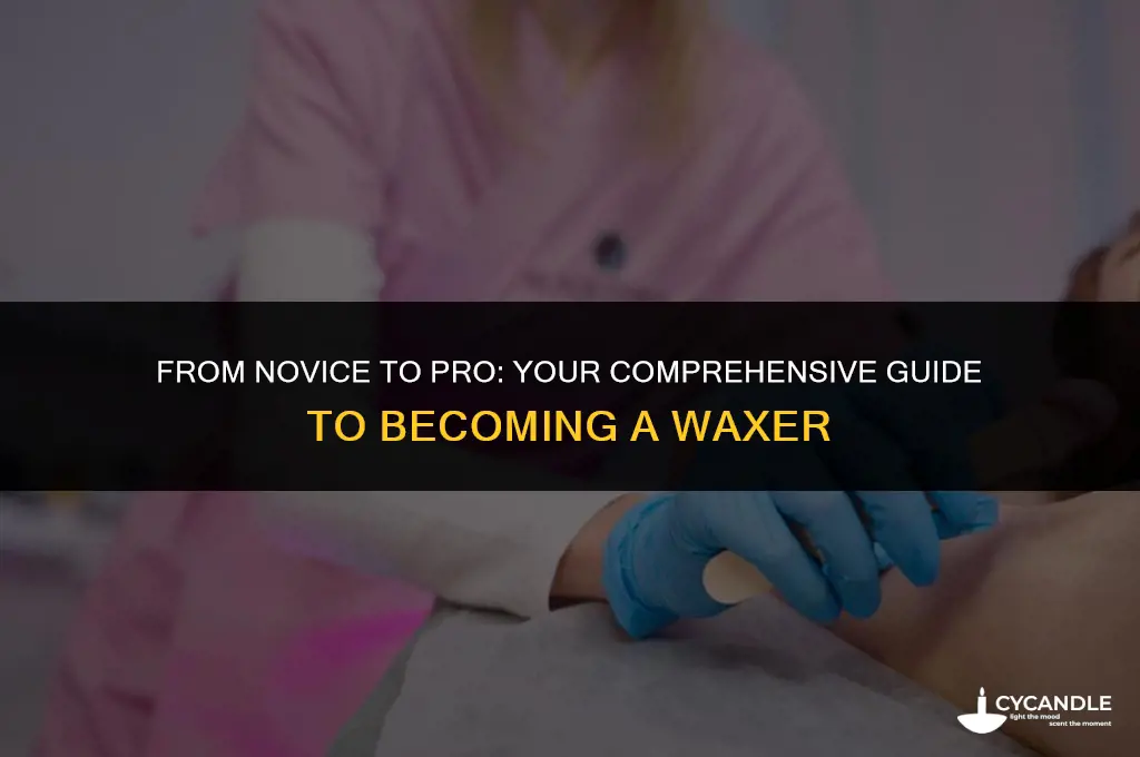how to become a waxer