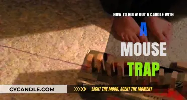 Ingenious Hack: Blowing Candles with a Mouse Trap