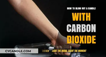 Blowing Candles with Carbon Dioxide: Science Experiment