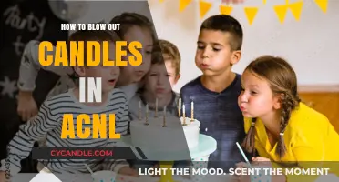 Blow Out Candles in Animal Crossing: New Leaf