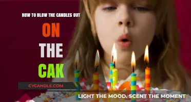Blow Out Candles, Make a Birthday Wish
