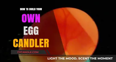 Building Your Own Egg Candler: DIY Guide