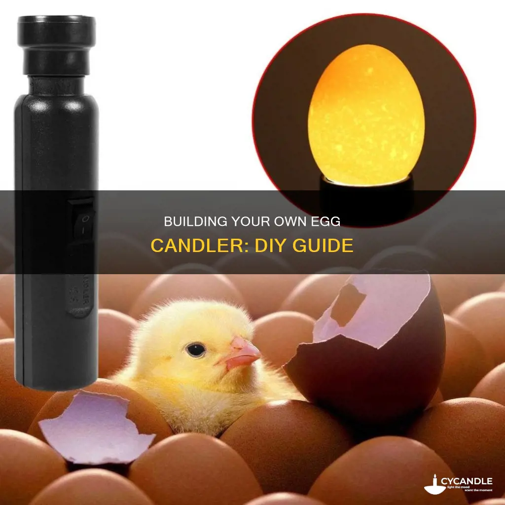 how to build your own egg candler