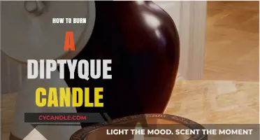 Mastering the Art of Burning Your Diptyque Candle Perfectly