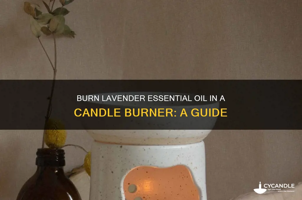 how to burn lavender essential in candle burner