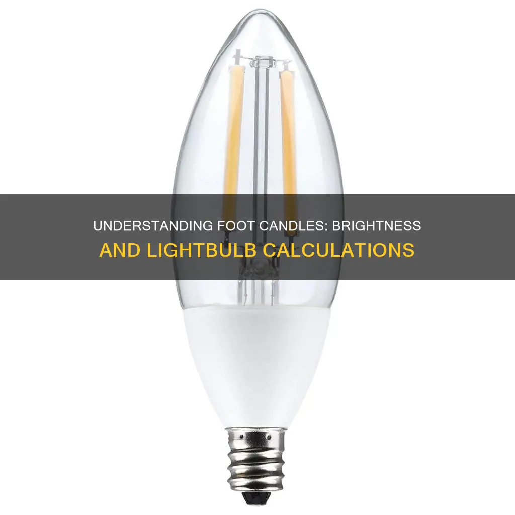 how to calculate foot candles for lightbulbs