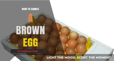 Candling Brown Eggs: A Step-by-Step Guide