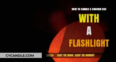 Candling Chicken Eggs: Flashlight Technique for Beginners
