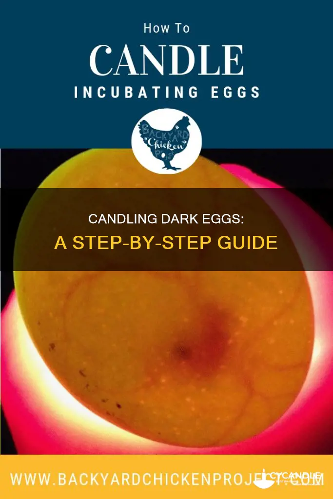 how to candle a dark egg
