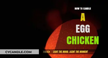 Candling Chicken Eggs: A Beginner's Guide
