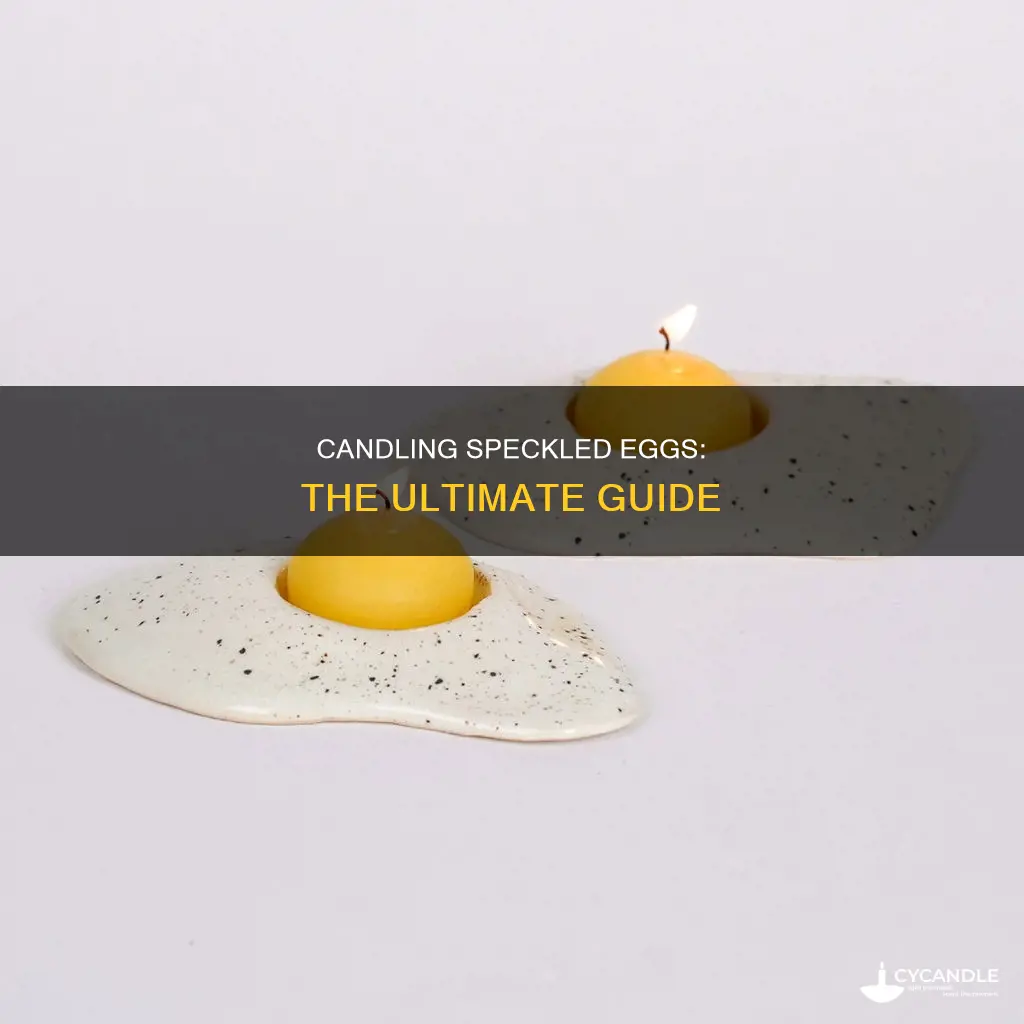 how to candle a speckled egg