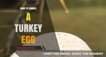 Candling Turkey Eggs: A Step-by-Step Guide