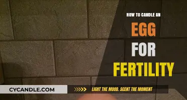 Candling Eggs for Fertility: A Step-by-Step Guide