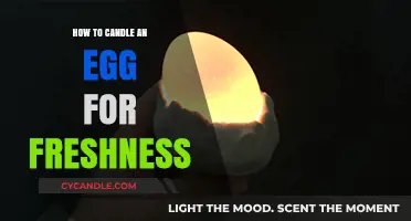 Candling Eggs: A Freshness Test for Your Eggs