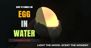 Candling Eggs: A Water Technique to Check Fertility