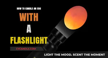 Candling Eggs: Using a Flashlight to See Embryo Development