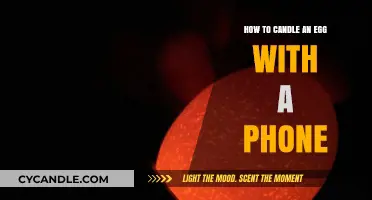Candling Eggs: Using Your Phone to See Embryo Development