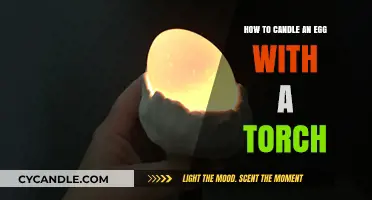 Candling Eggs: Using a Torch to See Embryo Development