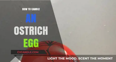 Candling an Ostrich Egg: A Beginner's Guide