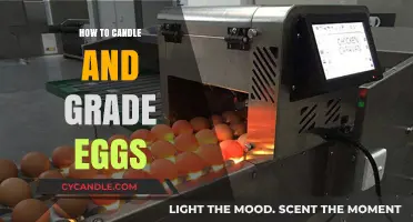 Candling and Grading Eggs: A Step-by-Step Guide