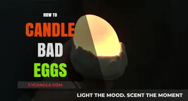 Spotting Rotten Eggs: A Quick Guide to Candling