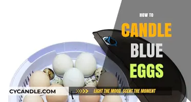 Candling Blue Eggs: A Step-by-Step Guide