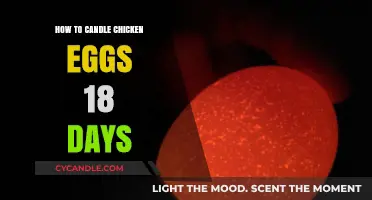 Candling Chicken Eggs: The 18-Day Guide