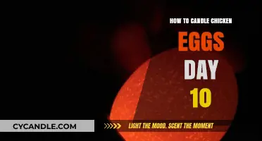 Candling Chicken Eggs: Day 10 Guide