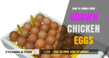 Candling Dark Chicken Eggs: A Step-by-Step Guide