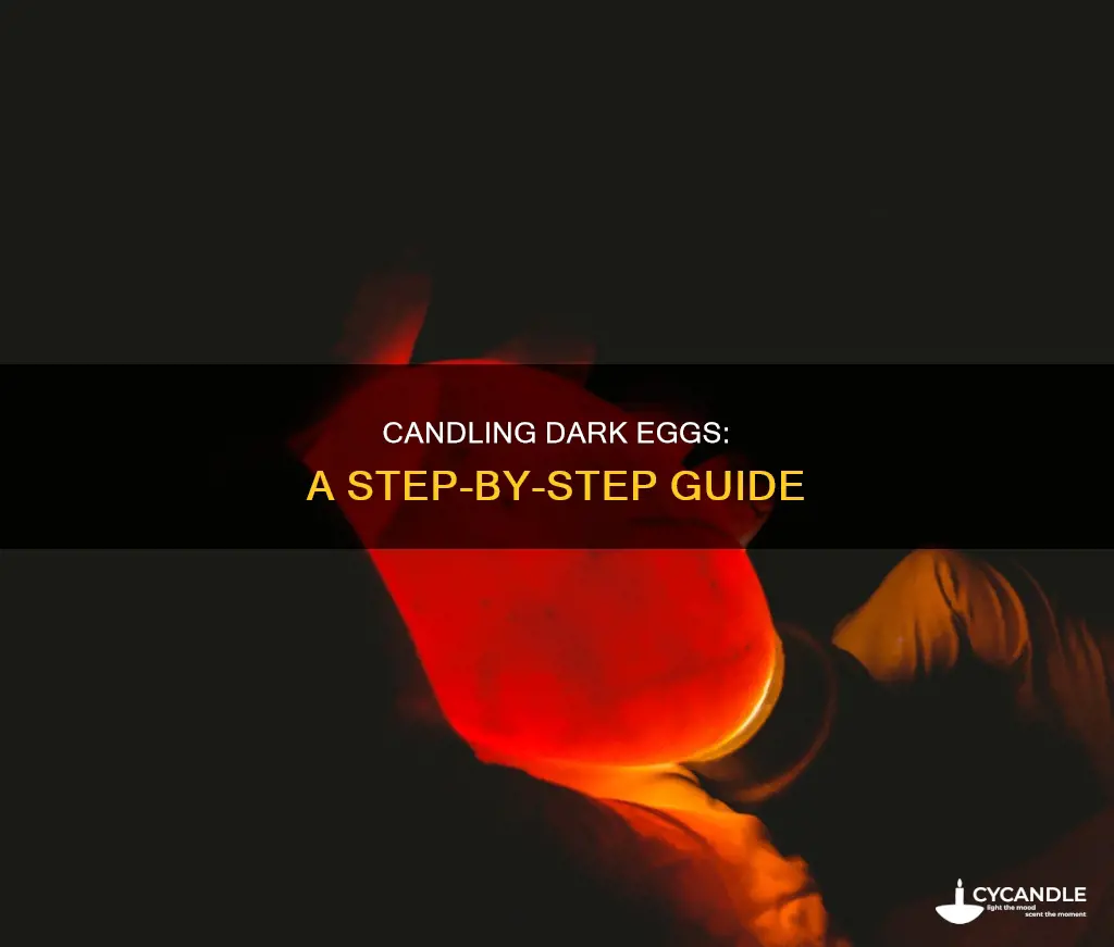 how to candle dark eggs