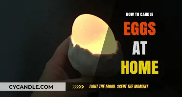 Candling Eggs: A Simple Guide for Beginners