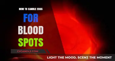 Candling Eggs: Spotting Blood Spots Easily