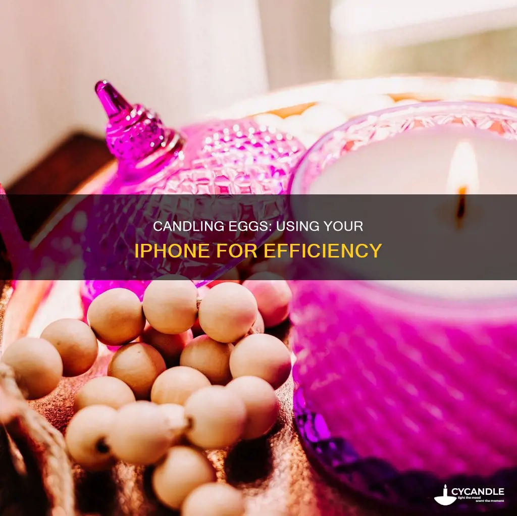 how to candle eggs with an iphone