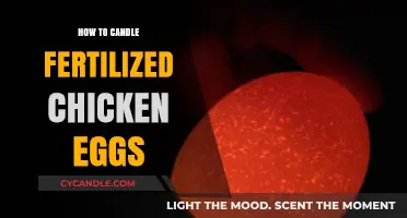 Candling Chicken Eggs: A Step-by-Step Guide
