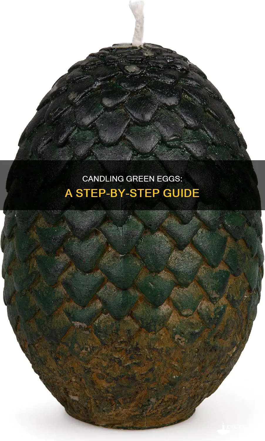 how to candle green eggs
