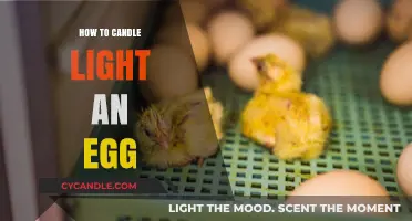 Master the Art of Candling Eggs: A Step-by-Step Guide