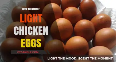 Candling Chicken Eggs: A Beginner’s Guide to Checking Fertility