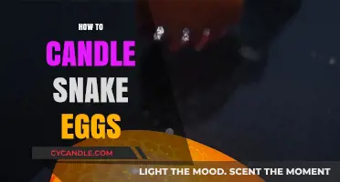 Candling Snake Eggs: A Step-by-Step Guide