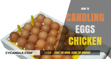 Candling Chicken Eggs: A Beginner's Guide to Success