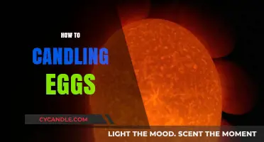 Candling Eggs: A Step-by-Step Guide to Success