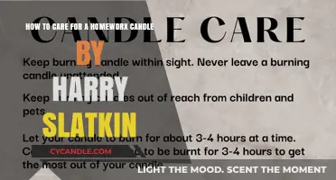 The Ultimate Guide to Homeworx Candles by Harry Slatkin