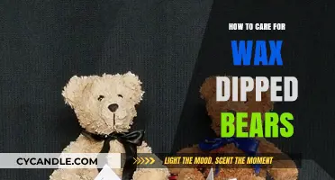Preserving Charm: The Essential Guide to Caring for Wax Dipped Bears