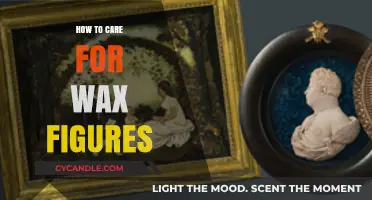 Preserving Perfection: A Comprehensive Guide to Wax Figure Care