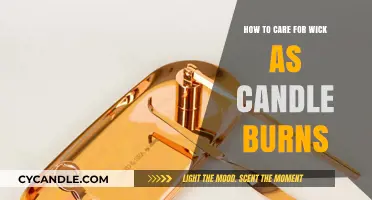 Essential Wick Care Tips for Longer-Lasting, Evenly Burning Candles