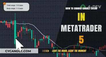 Customizing Candles: Changing Colors in MetaTrader 5
